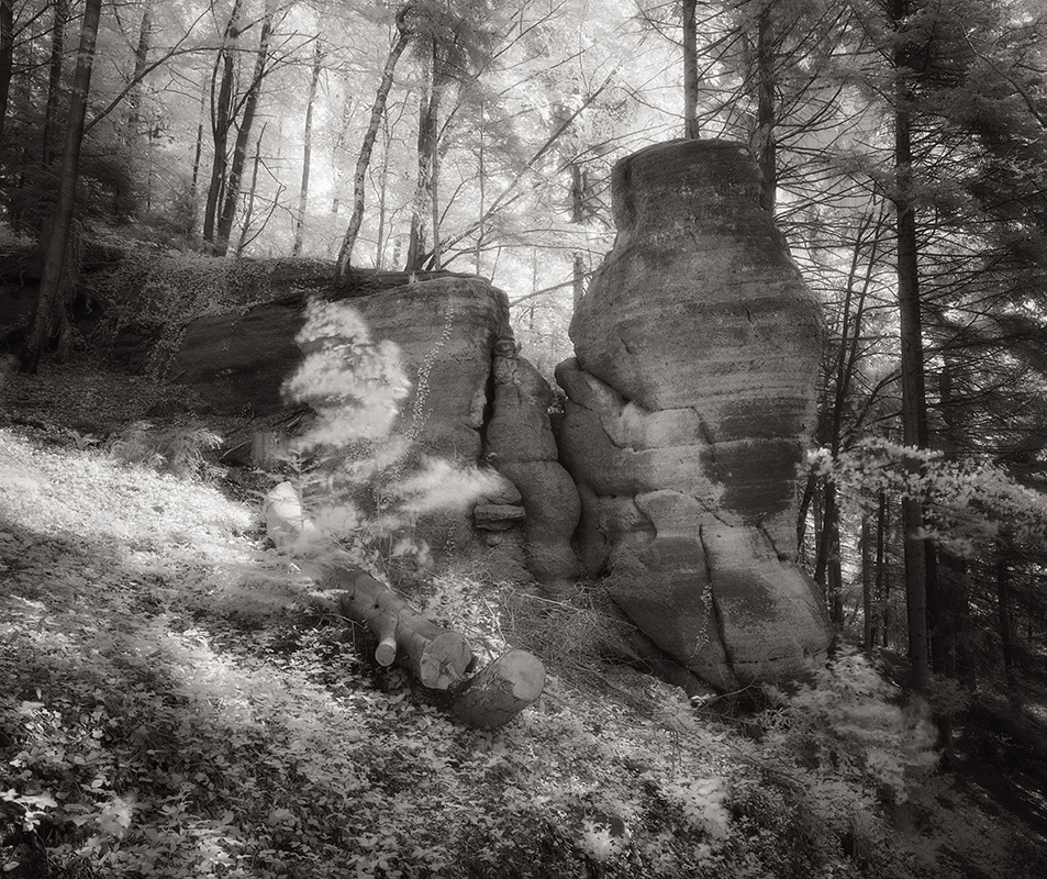 Monochrom0511-21.JPG - Ein im Wald gut versteckter und interessant geformter Felsen in der Nähe von Bad Herrenalb.