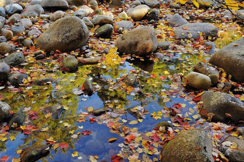 USA-2008-136.jpg - Stefan Becker, beckstef@freenet.de