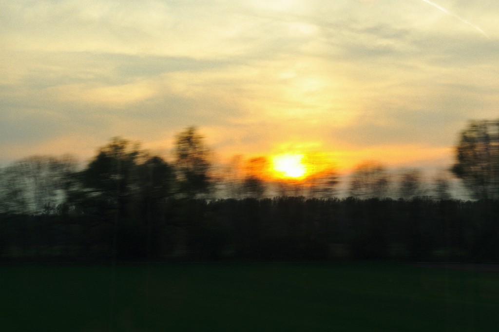 Ulm0409-55.jpg - Ah ja. Während der Heimfahrt nach Karlsruhe habe ich dieses Bild durch das Fenster des Zuges aufgenommen. Ich wollte das nicht enden wollende Vorbeiziehen der Bäume und den Sonnenuntergang ein wenig einfangen. Ich finde, das Experimentieren mit der längeren Belichtungszeit hat sich gelohnt, denn dieses Bild mag ich sehr.