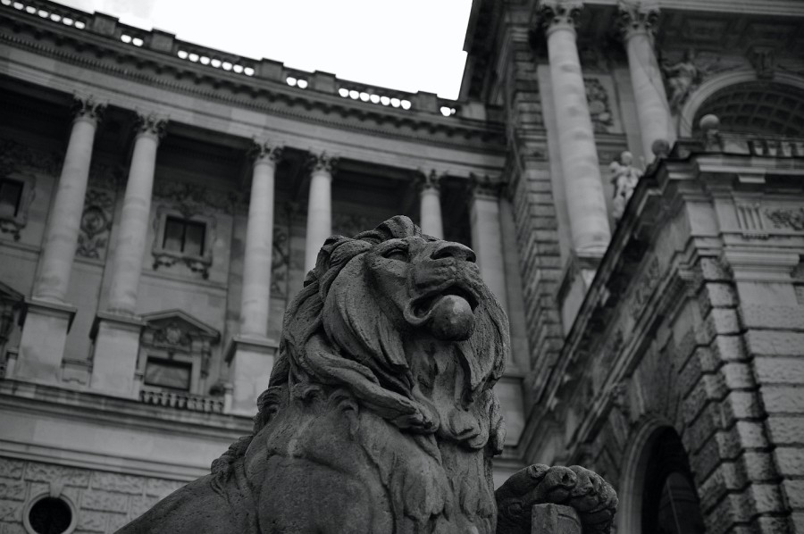 Wien-052.JPG - Die Hofburg wird von diesem Löwen streng bewacht.