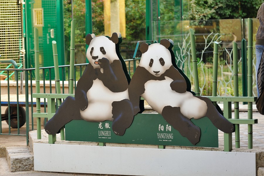 Wien-103.JPG - Oha, hier gibt es scheinbar auch Pandas.